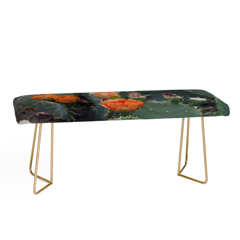 Lisa Argyropoulos Blooming Prickly Pear Bench