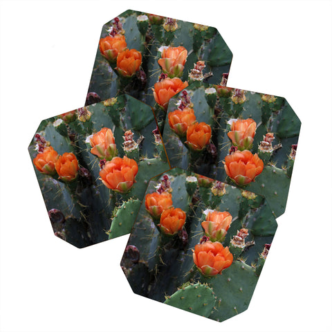 Lisa Argyropoulos Blooming Prickly Pear Coaster Set