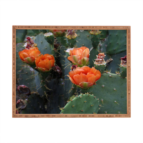 Lisa Argyropoulos Blooming Prickly Pear Rectangular Tray