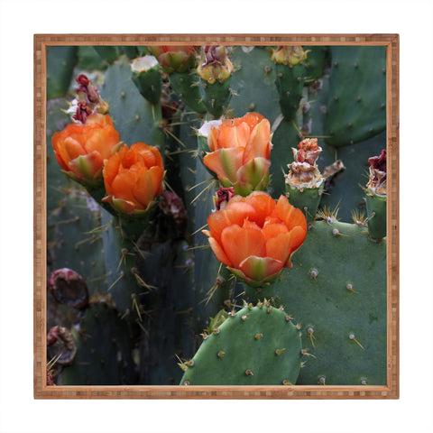 Lisa Argyropoulos Blooming Prickly Pear Square Tray