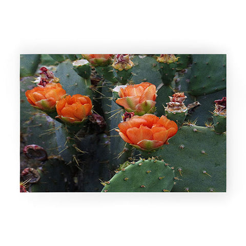 Lisa Argyropoulos Blooming Prickly Pear Welcome Mat