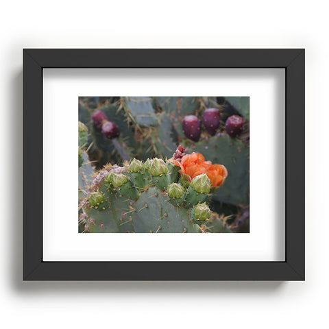 Lisa Argyropoulos Budding Prickly Pear Recessed Framing Rectangle