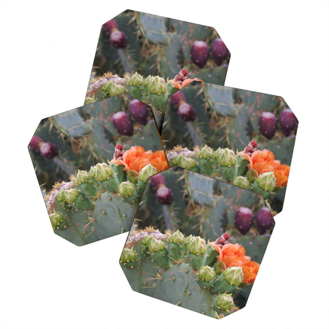 Lisa Argyropoulos Budding Prickly Pear Coaster Set