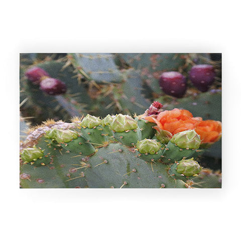 Lisa Argyropoulos Budding Prickly Pear Welcome Mat