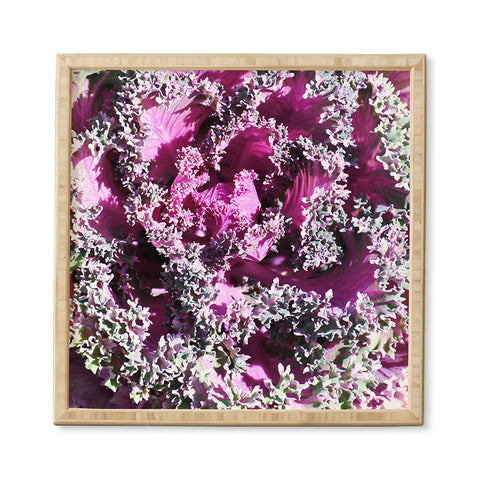 Lisa Argyropoulos Cabbage Framed Wall Art