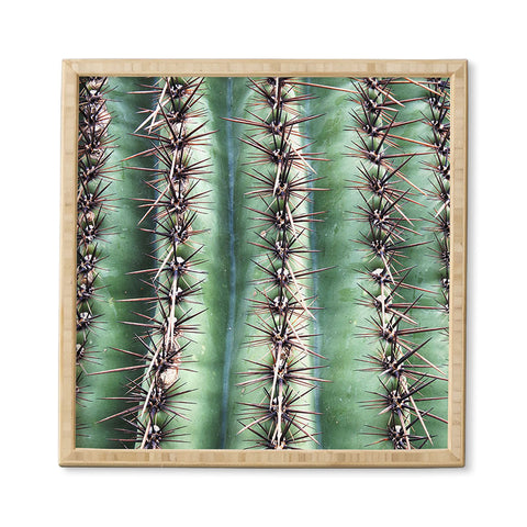 Lisa Argyropoulos Cactus Abstractus Framed Wall Art