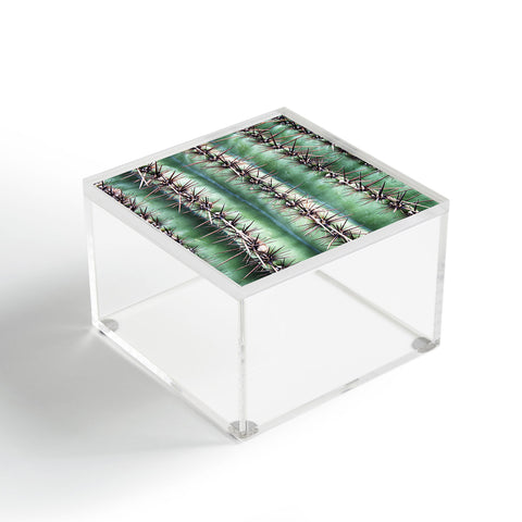 Lisa Argyropoulos Cactus Abstractus Acrylic Box