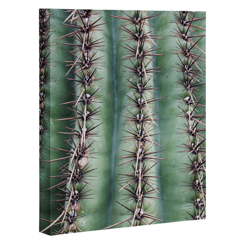 Lisa Argyropoulos Cactus Abstractus Art Canvas