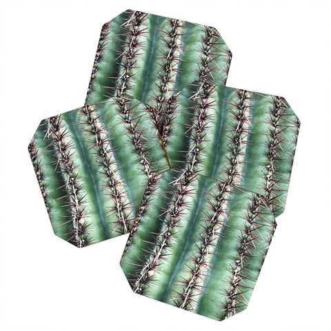 Lisa Argyropoulos Cactus Abstractus Coaster Set