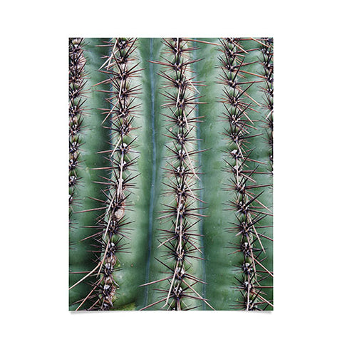 Lisa Argyropoulos Cactus Abstractus Poster