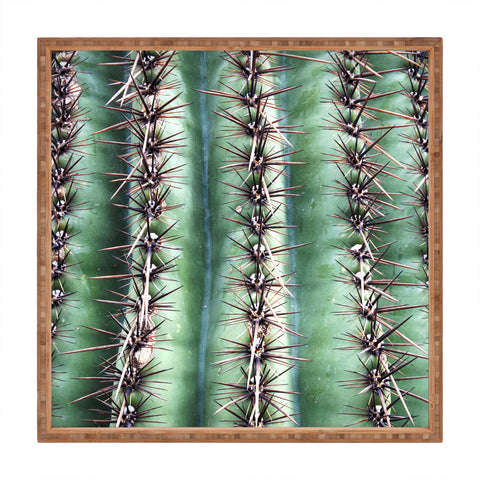Lisa Argyropoulos Cactus Abstractus Square Tray