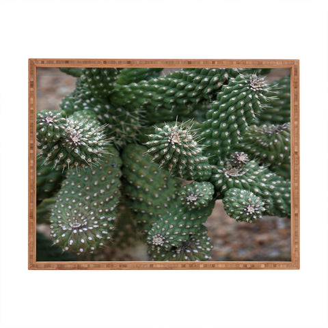 Lisa Argyropoulos Cactus Fantastic Rectangular Tray