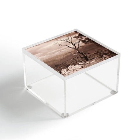 Lisa Argyropoulos Canyon Ghost Warm Sepia Acrylic Box