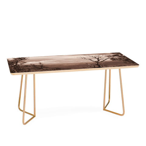 Lisa Argyropoulos Canyon Ghost Warm Sepia Coffee Table