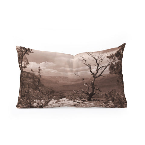 Lisa Argyropoulos Canyon Ghost Warm Sepia Oblong Throw Pillow