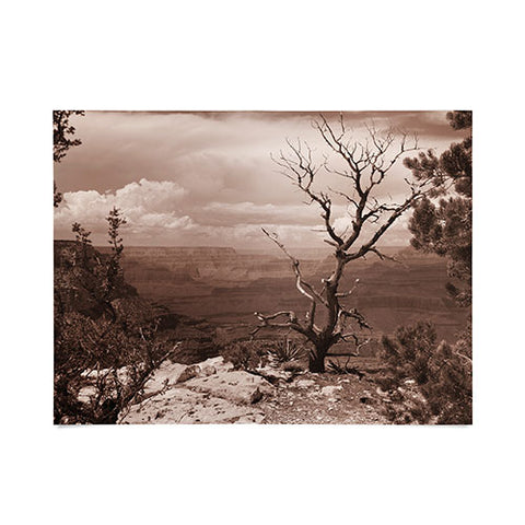 Lisa Argyropoulos Canyon Ghost Warm Sepia Poster