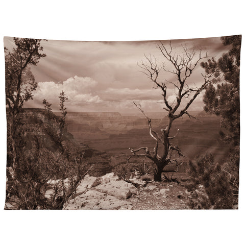 Lisa Argyropoulos Canyon Ghost Warm Sepia Tapestry