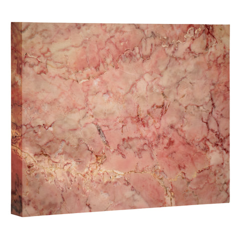 Lisa Argyropoulos Cherry Blush Marble Art Canvas