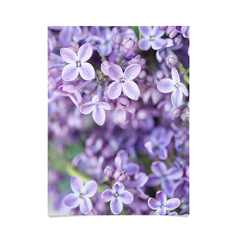 Lisa Argyropoulos Dreamy Lilacs Poster