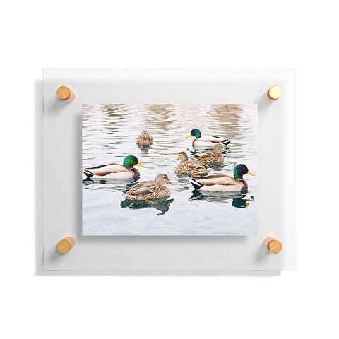 Lisa Argyropoulos Ducks Floating Acrylic Print