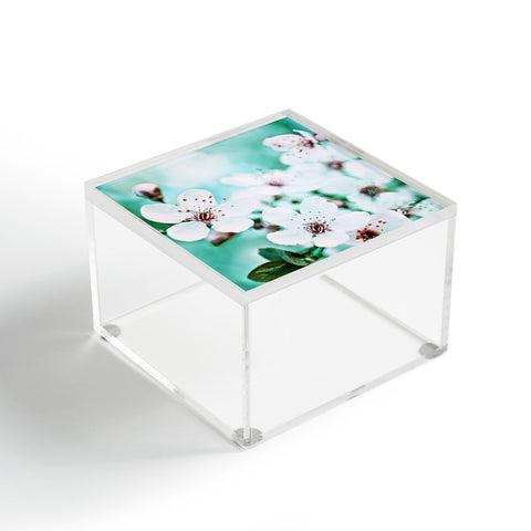 Lisa Argyropoulos Echo Acrylic Box