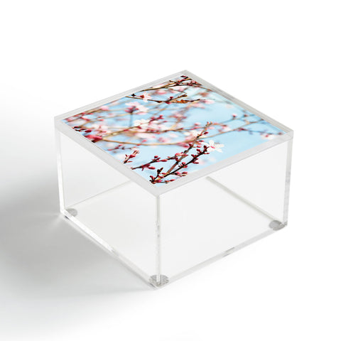 Lisa Argyropoulos Emerging Acrylic Box
