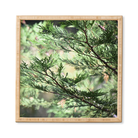 Lisa Argyropoulos Forest Whispers Framed Wall Art