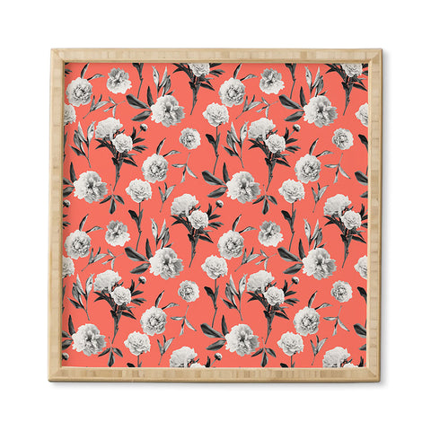 Lisa Argyropoulos Peonies Mono Coral Framed Wall Art