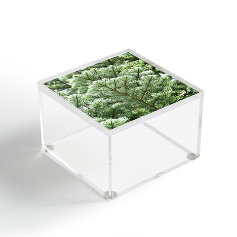 Lisa Argyropoulos Pine Acrylic Box