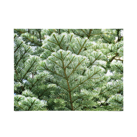 Lisa Argyropoulos Pine Poster