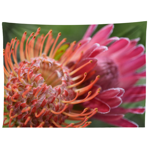 Lisa Argyropoulos Proteas Tapestry