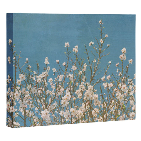 Lisa Argyropoulos Reaching For Spring Art Canvas