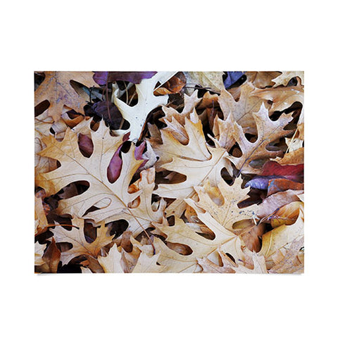 Lisa Argyropoulos Rustic Autumn Poster