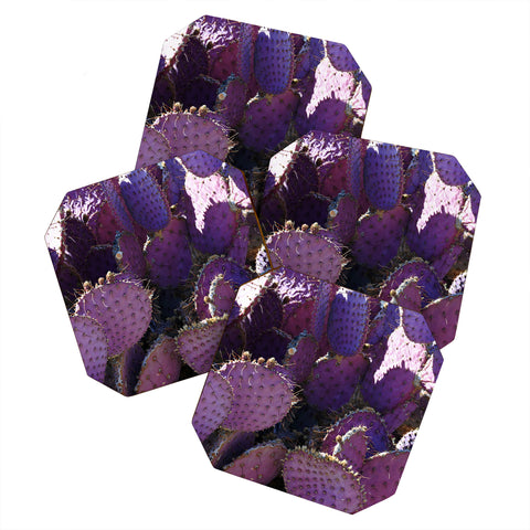 Lisa Argyropoulos Rustic Purple Pancake Cactus Coaster Set