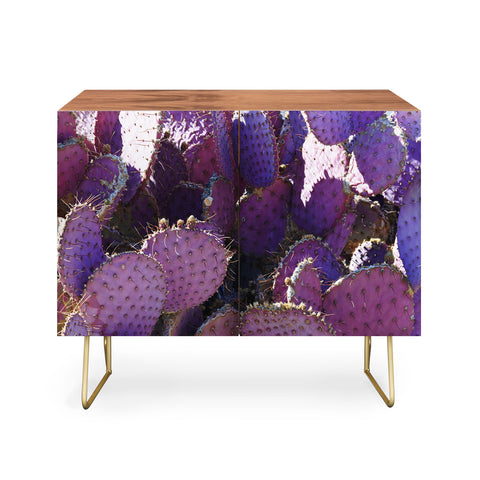 Lisa Argyropoulos Rustic Purple Pancake Cactus Credenza