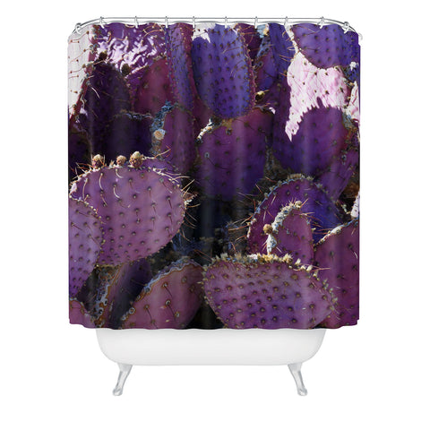 Lisa Argyropoulos Rustic Purple Pancake Cactus Shower Curtain