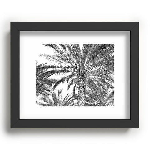 Lisa Argyropoulos San Diego Palms Recessed Framing Rectangle