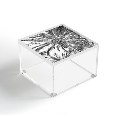 Lisa Argyropoulos San Diego Palms Acrylic Box