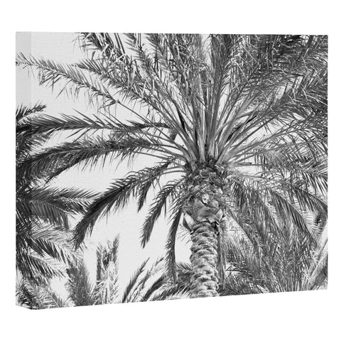 Lisa Argyropoulos San Diego Palms Art Canvas