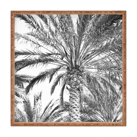 Lisa Argyropoulos San Diego Palms Square Tray