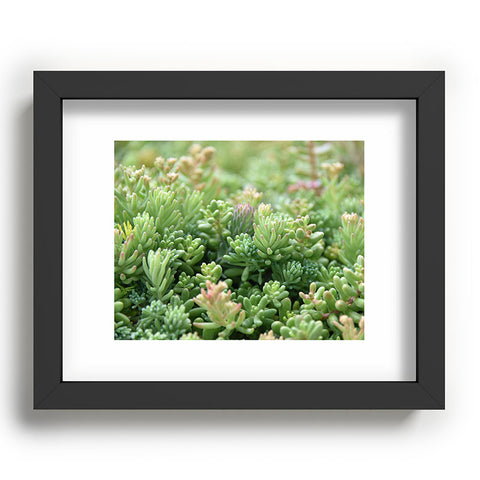 Lisa Argyropoulos Succulent Jungle Recessed Framing Rectangle