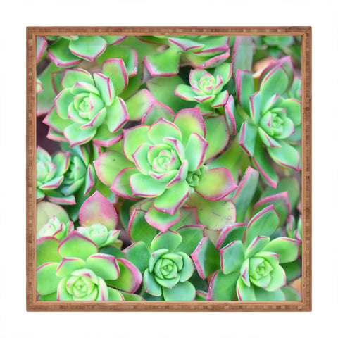 Lisa Argyropoulos Succulents Color Square Tray