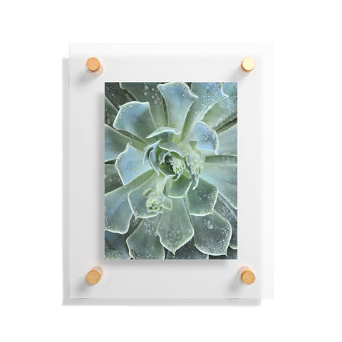 Lisa Argyropoulos Succulents II Floating Acrylic Print