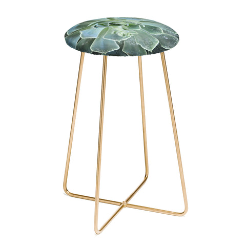 Lisa Argyropoulos Succulents II Counter Stool