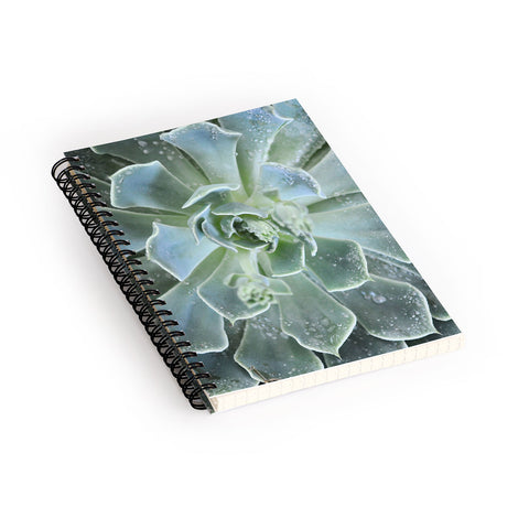 Lisa Argyropoulos Succulents II Spiral Notebook