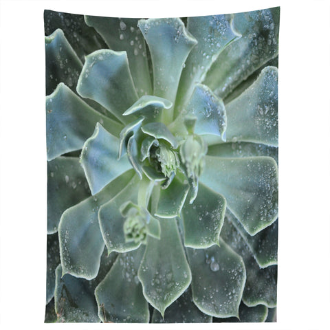 Lisa Argyropoulos Succulents II Tapestry