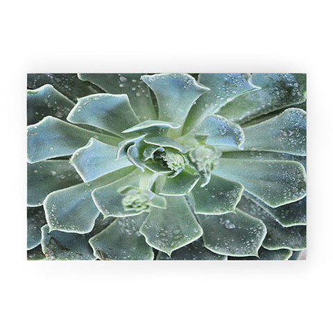 Lisa Argyropoulos Succulents II Welcome Mat