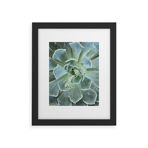 Lisa Argyropoulos Succulents II Framed Art Print