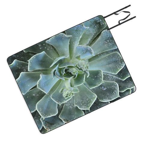 Lisa Argyropoulos Succulents II Picnic Blanket