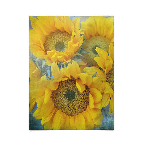 Lisa Argyropoulos Sunny Disposition Poster